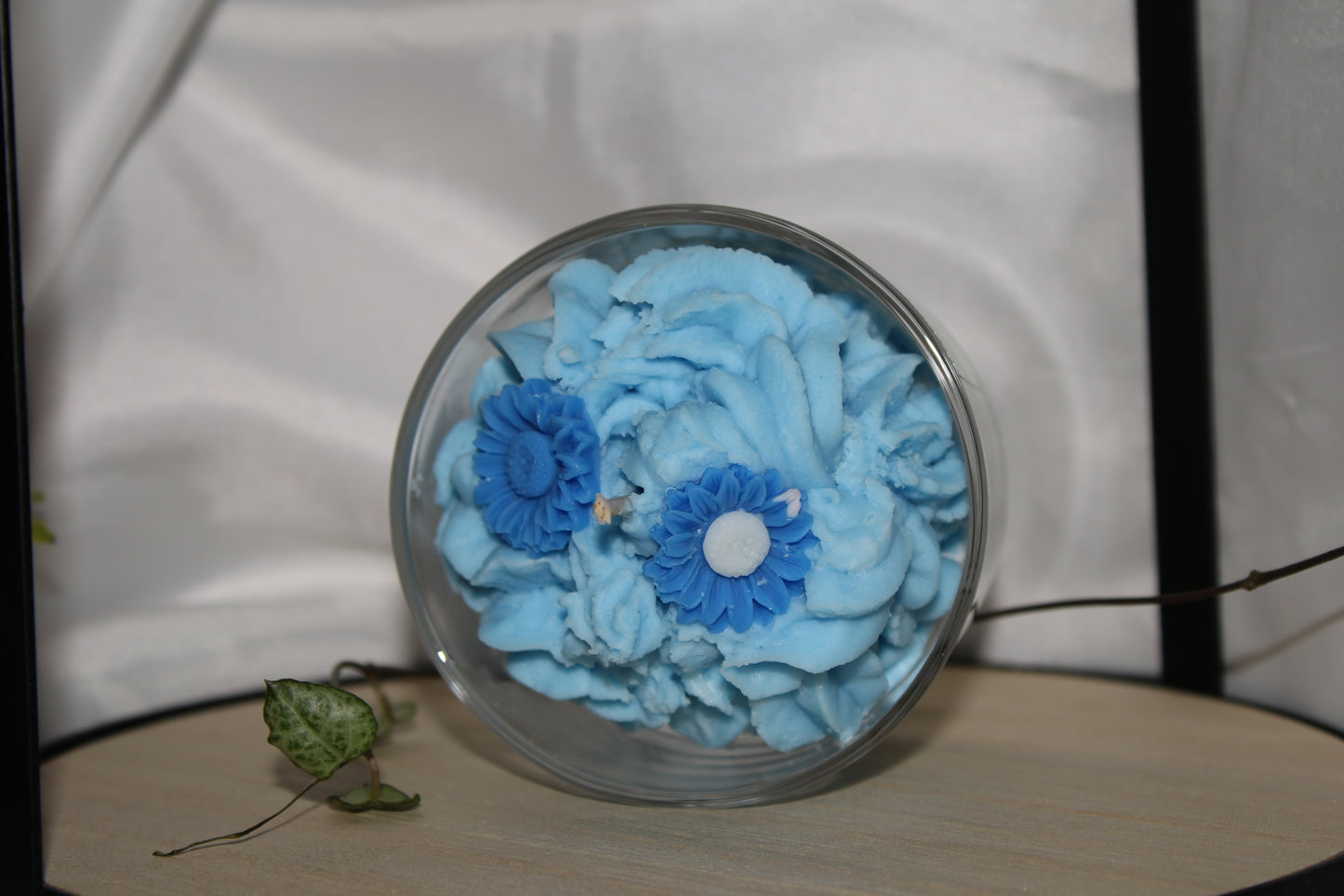 Blue Daisy