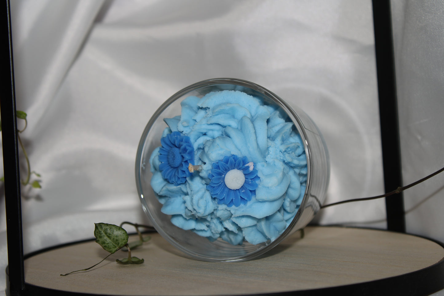 Blue Daisy