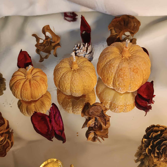 Κολοκύθα set