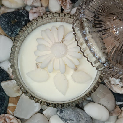 Ivory glow