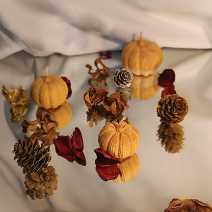 Κολοκύθα set